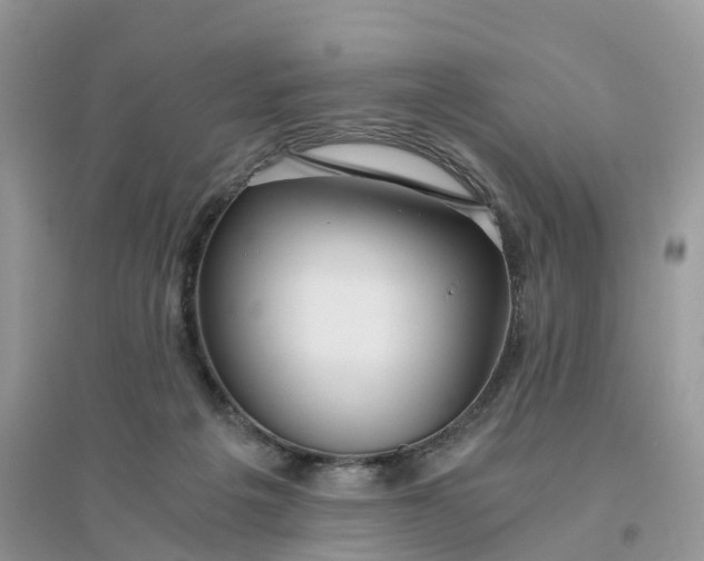 X0000096180217200802011350