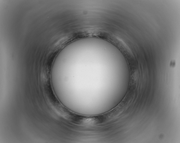 X0000096180218200802011350