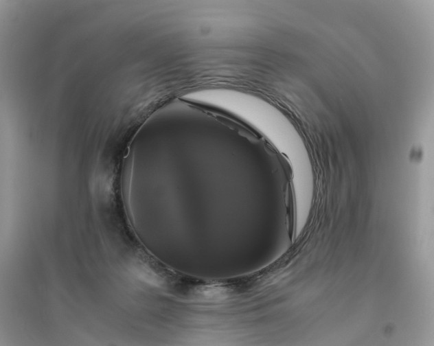 X0000096180219200802011350