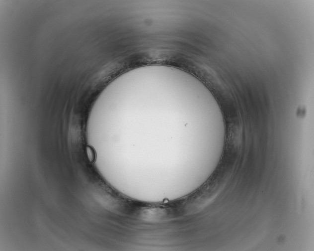 X0000096180220200802011350