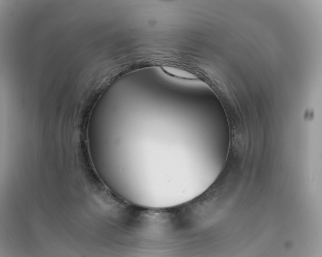X0000096180221200802011350