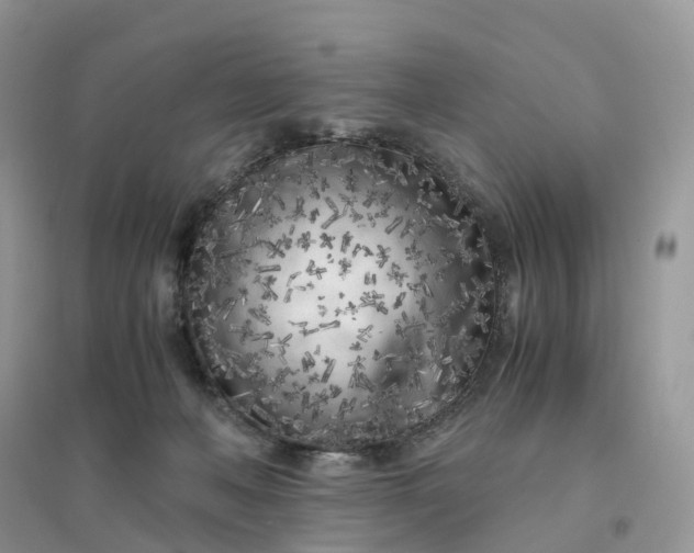 X0000096180222200802011350