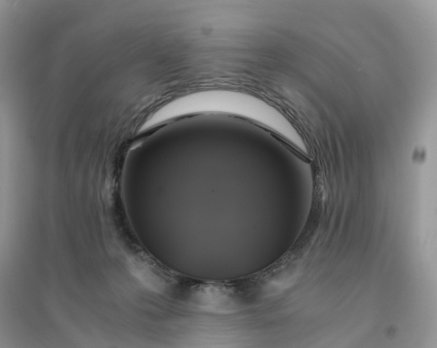 X0000096180223200802011350