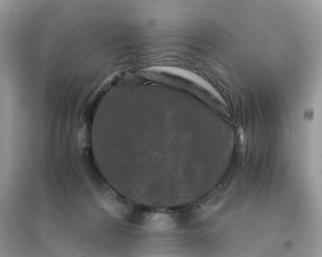 X0000096180224200802011350