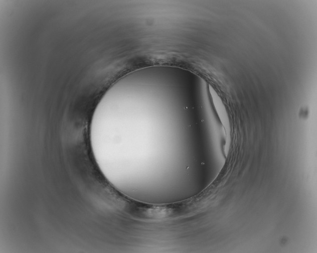 X0000096180225200802011350