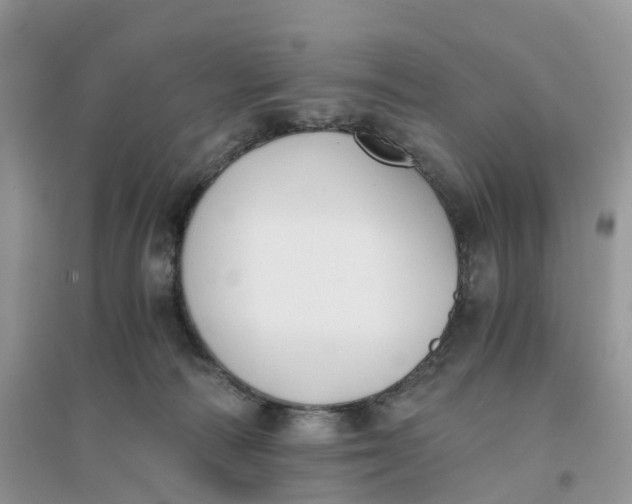 X0000096180226200802011350