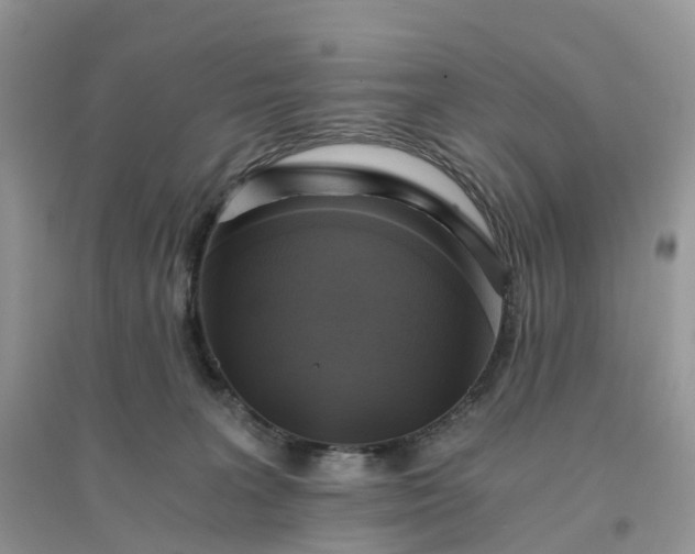X0000096180227200802011350