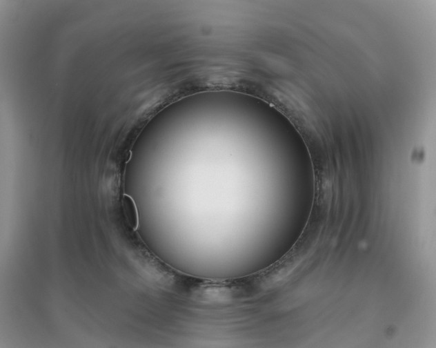 X0000096180228200802011350
