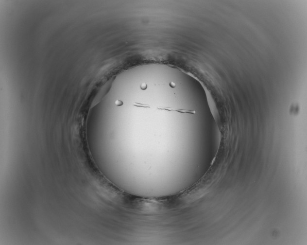 X0000096180229200802011350