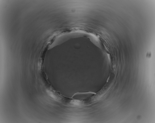 X0000096180231200802011350
