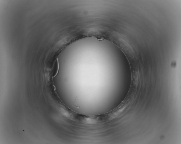 X0000096180232200802011350