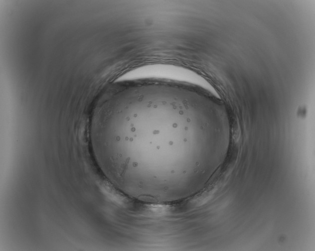 X0000096180233200802011350