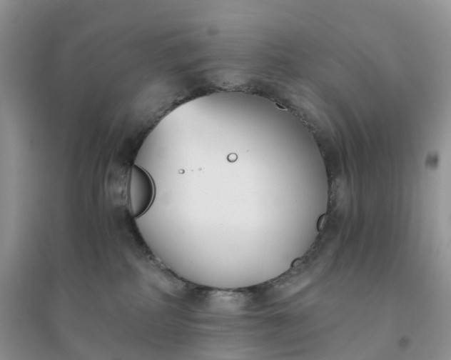 X0000096180234200802011350
