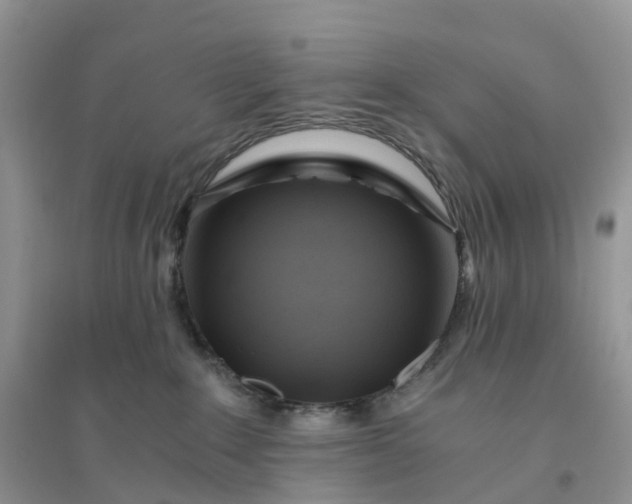X0000096180235200802011350