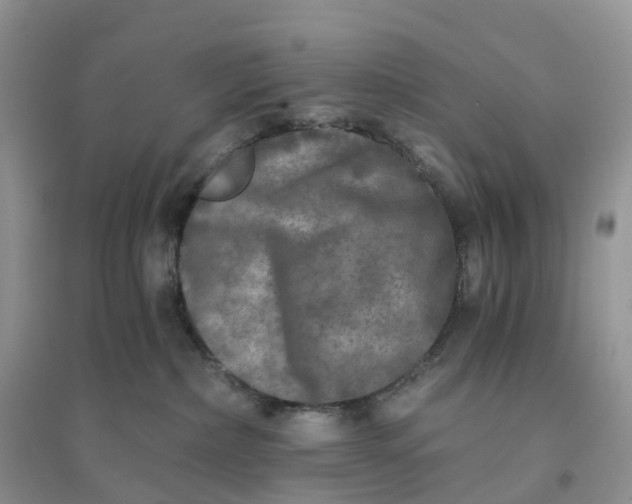 X0000096180236200802011350