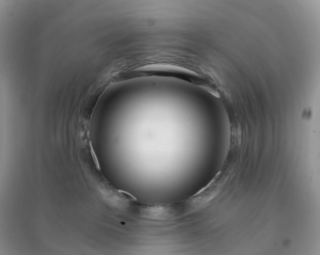 X0000096180237200802011350