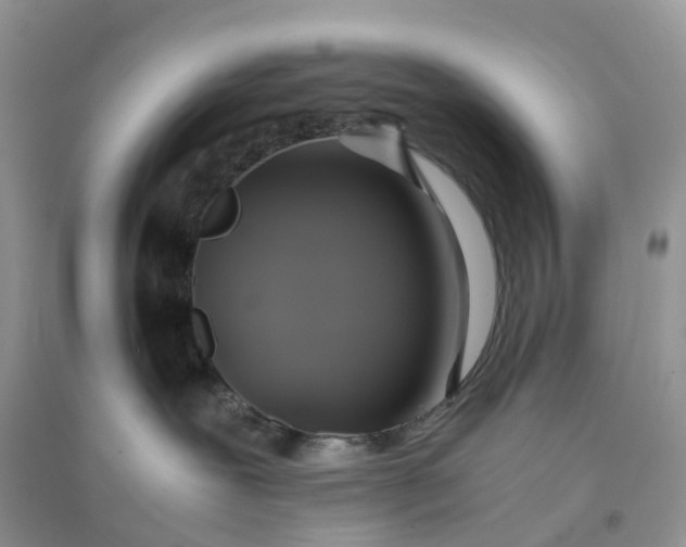 X0000096180239200802011350