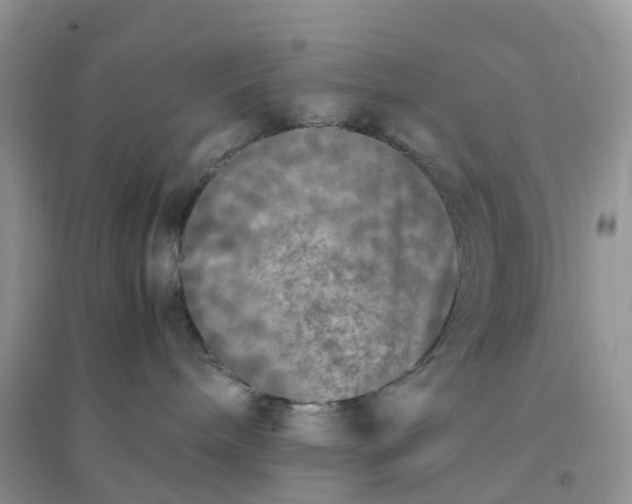 X0000096180240200802011350