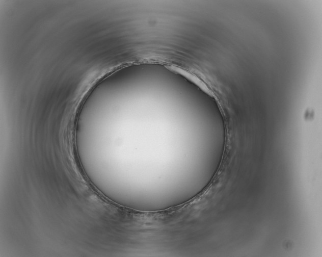 X0000096180241200802011349