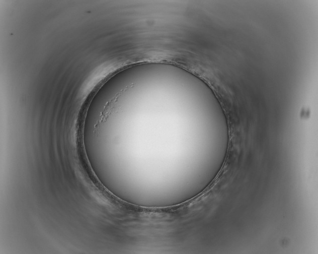 X0000096180242200802011349