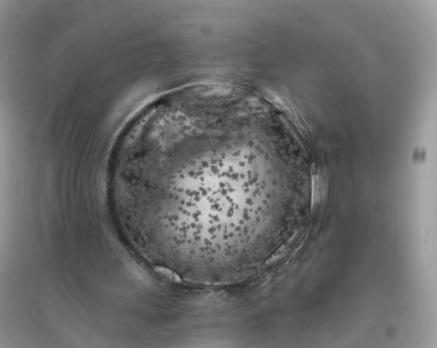 X0000096180243200802011349