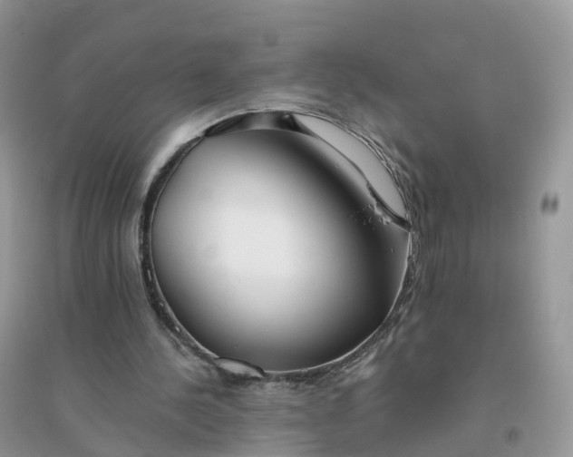 X0000096180244200802011349