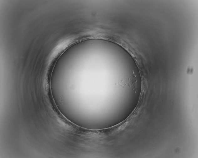 X0000096180245200802011349