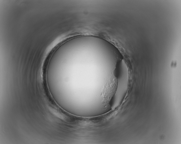 X0000096180246200802011349