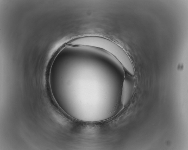 X0000096180248200802011349