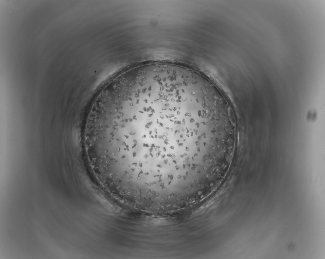 X0000096180249200802011349