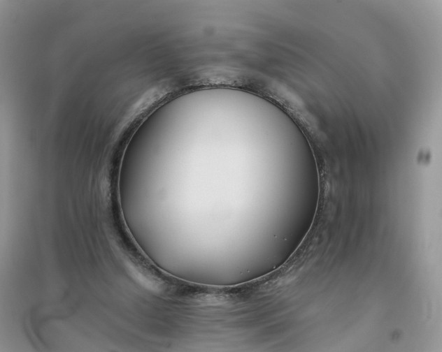X0000096180250200802011349