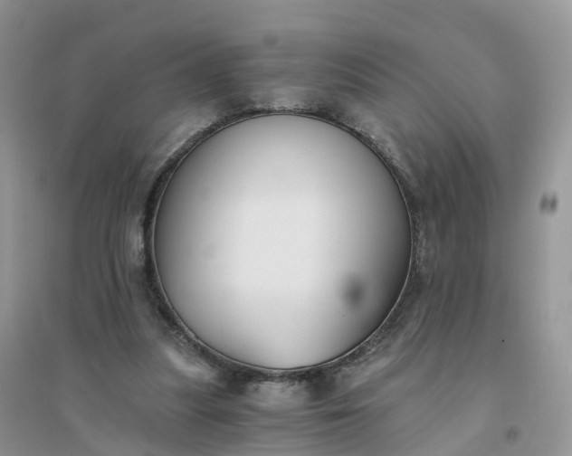 X0000096180251200802011349