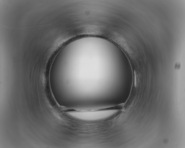 X0000096180252200802011349