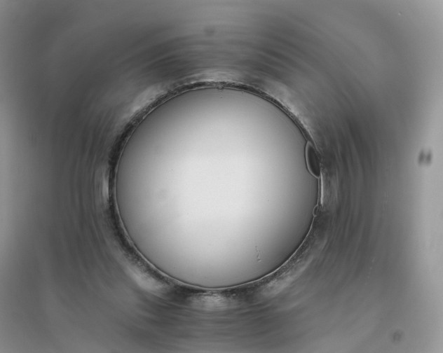 X0000096180253200802011349