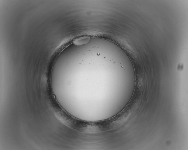 X0000096180256200802011349
