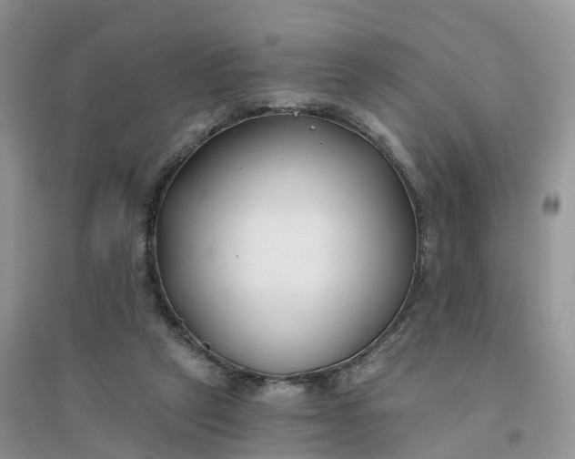 X0000096180257200802011349