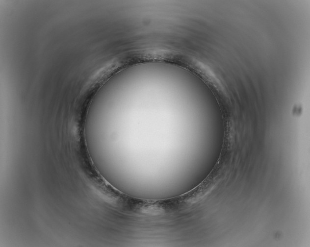 X0000096180258200802011349