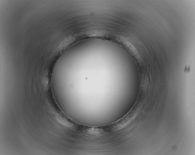 X0000096180261200802011350