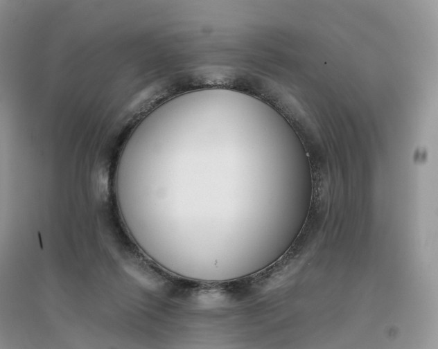 X0000096180262200802011350