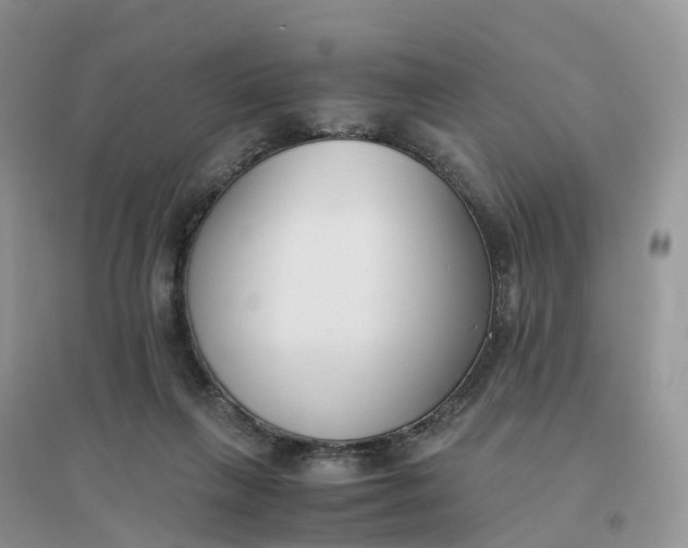 X0000096180263200802011350