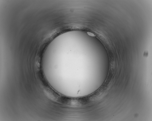 X0000096180264200802011350