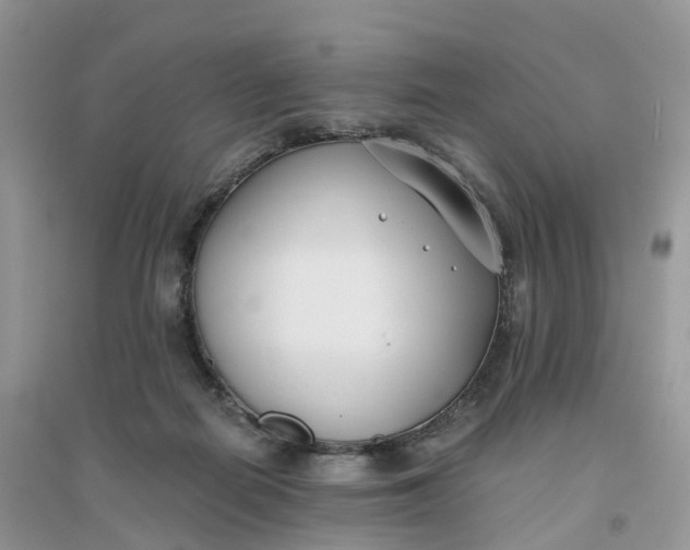 X0000096180266200802011350