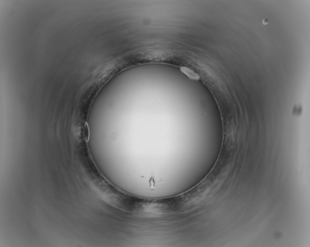 X0000096180268200802011350