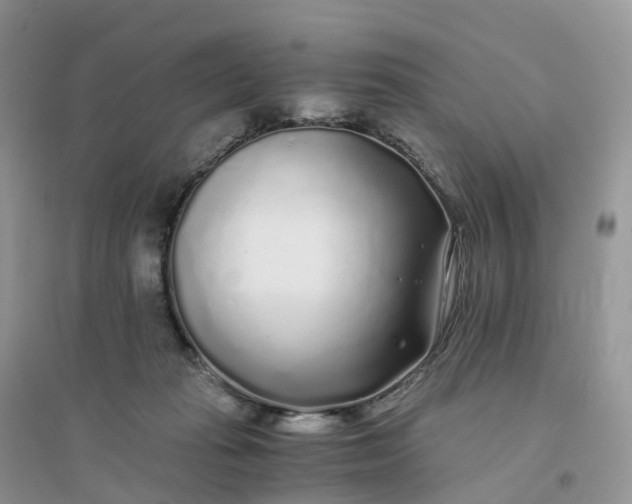 X0000096180269200802011350