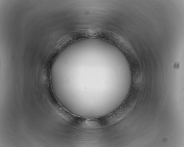 X0000096180270200802011350