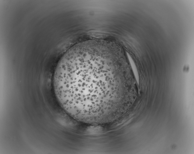 X0000096180271200802011350