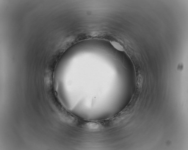 X0000096180272200802011350