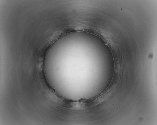 X0000096180273200802011350