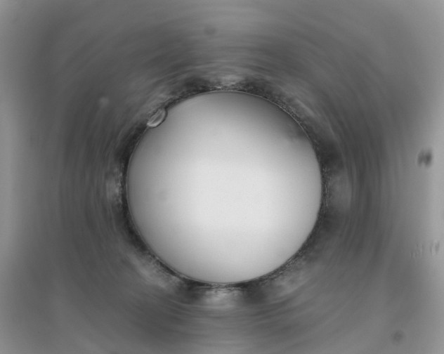 X0000096180274200802011350
