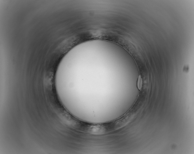 X0000096180275200802011350